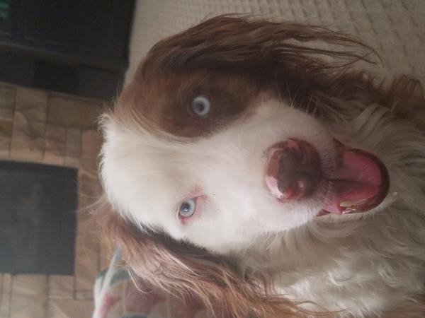 /Images/uploads/Humane Society of Utah/HSUCalendar/entries/1552thumb.jpg